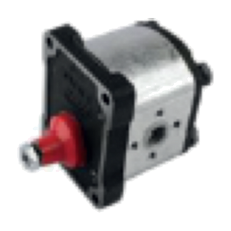 Case AVJ 55, 60, 70, VJ 60, 70, 80 Hidrolik Pompa (1PN119CB11/466)