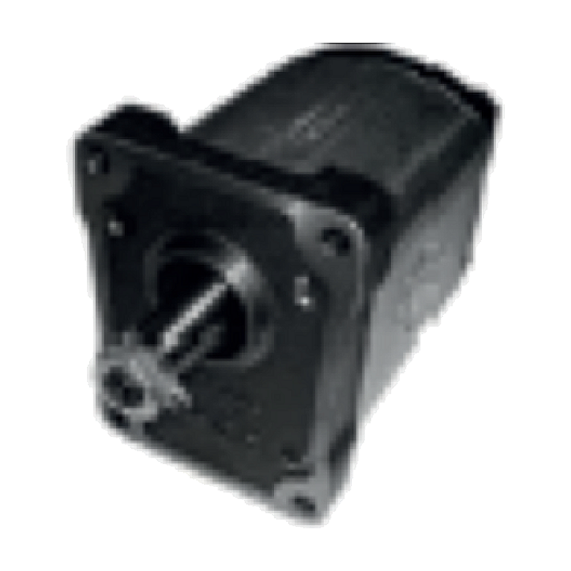 Carraro 7000 Hidrolik Pompa (1PN229CB11/438)
